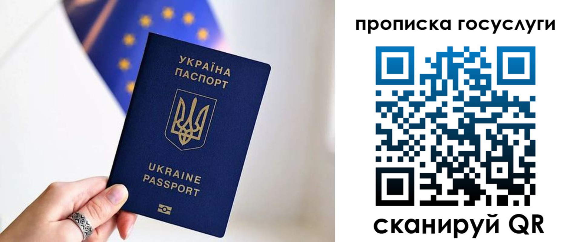 временная регистрация для всех в Александровске